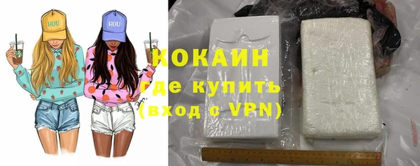 дмт Елизово