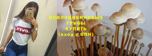 героин Ельня
