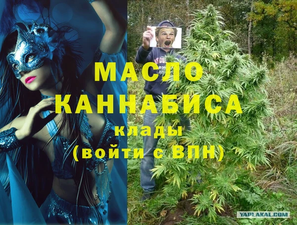 дмт Елизово