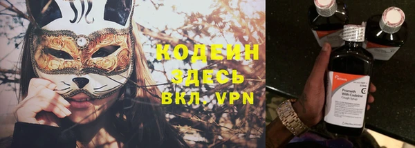 дмт Елизово
