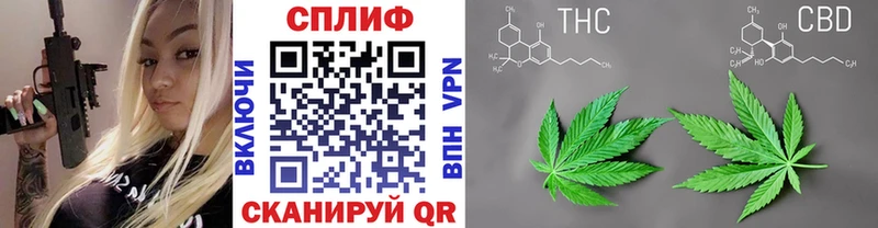 Бошки Шишки планчик  блэк спрут сайт  Ершов 